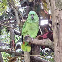 Alturas Wildlife Sanctuary - Uvita