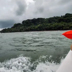 Corcovado National Park (Accessible from Uvita) - Uvita