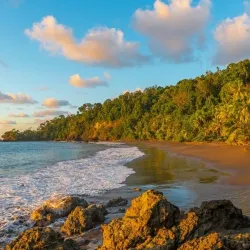 Corcovado National Park (Accessible from Uvita) - Uvita
