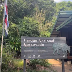 Corcovado National Park (Accessible from Uvita) - Uvita