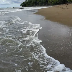 Corcovado National Park (Accessible from Uvita) - Uvita