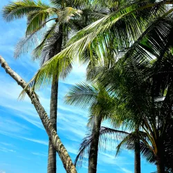 Marino Ballena National Park - Uvita
