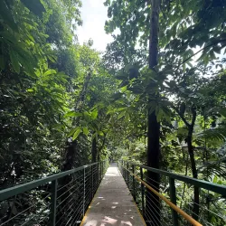 Nauyaca Waterfalls - Uvita