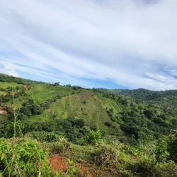 Osa Canopy Tour - Uvita