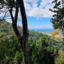 Rainforest Adventures Costa Rica Pacific Park - Uvita