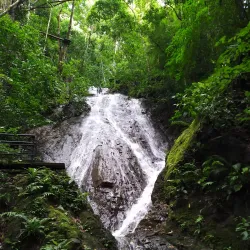 Rainforest Adventures Costa Rica Pacific Park - Uvita