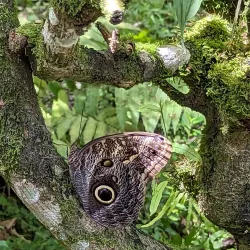 Rainforest Adventures Costa Rica Pacific Park - Uvita
