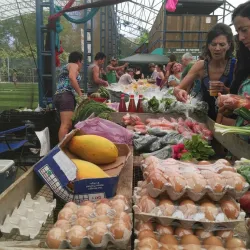 Uvita Farmers Market - Uvita