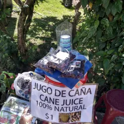 Uvita Farmers Market - Uvita