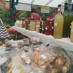 Uvita Farmers Market - Uvita
