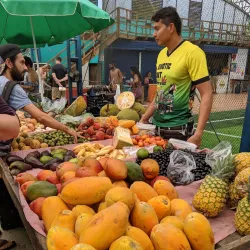 Uvita Farmers Market - Uvita