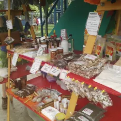 Uvita Farmers Market - Uvita