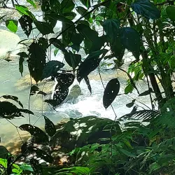 Uvita Waterfall - Uvita