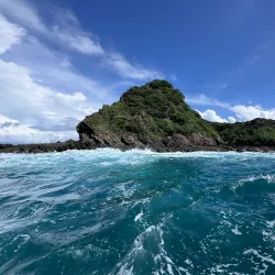 Whale Watching Tours - Uvita