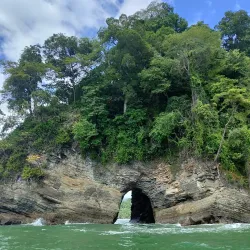 Whale Watching Tours - Uvita