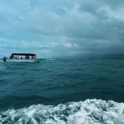 Whale Watching Tours - Uvita