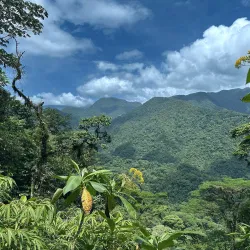 Braulio Carrillo National Park - Vazquez de Coronado