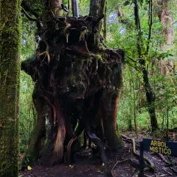 Braulio Carrillo National Park - Vazquez de Coronado
