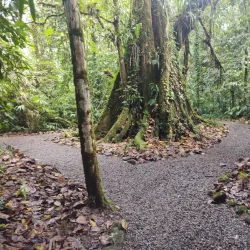 Cascada del Toro - Vazquez de Coronado