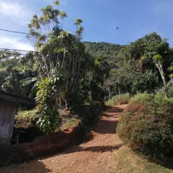 Cerro Turrubares - Vazquez de Coronado