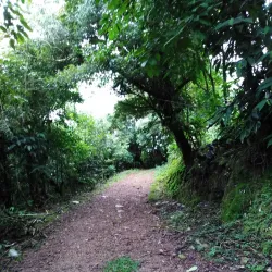 Cerro Turrubares - Vazquez de Coronado
