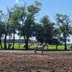 Đakovo Equestrian Center - Đakovo