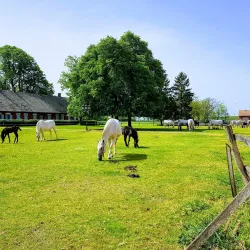 Đakovo Equestrian Center - Đakovo