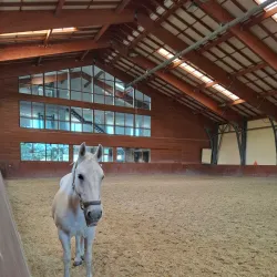 Đakovo Horse Fair (Đakovački Vezovi) - Đakovo