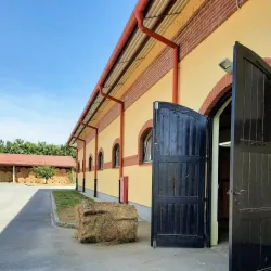 Đakovo Horse Fair (Đakovački Vezovi) - Đakovo