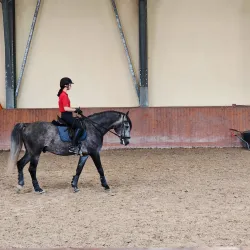 Đakovo Horse Fair (Đakovački Vezovi) - Đakovo