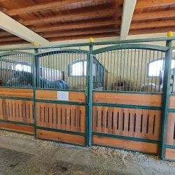 Đakovo Horse Fair (Đakovački Vezovi) - Đakovo