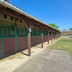 Đakovo Horse Fair (Đakovački Vezovi) - Đakovo