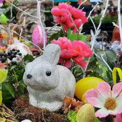 Local Market - Đakovo