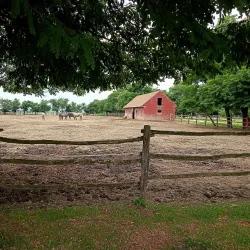Nature Trails around Đakovo - Đakovo