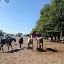 Nature Trails around Đakovo - Đakovo