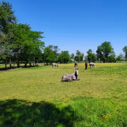 Nature Trails around Đakovo - Đakovo