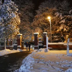 Park of King Tomislav - Đakovo