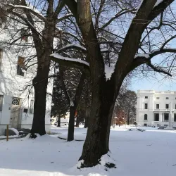 Belišće City Museum - Belišće