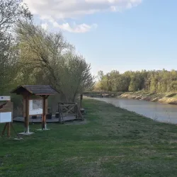 Belišće Town Hall - Belišće