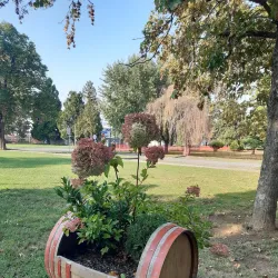 Belišće Town Hall - Belišće