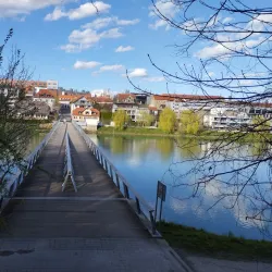 Drava River - Belišće