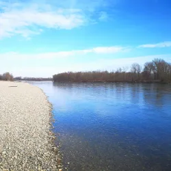Drava River - Belišće