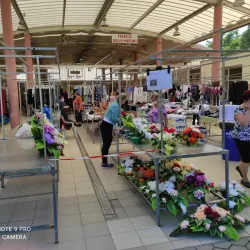 Local Market - Belišće