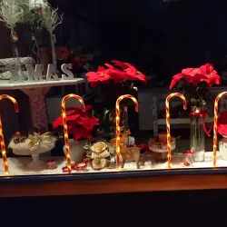 Local Market - Belišće