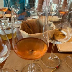 Local Wine and Food Tastings - Belišće