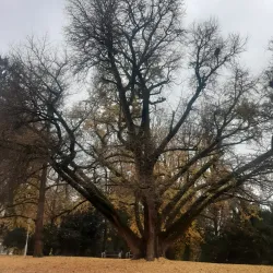 Daruvar Castle - Daruvar