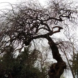 Daruvar City Museum - Daruvar