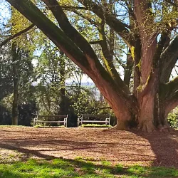 Daruvar City Museum - Daruvar