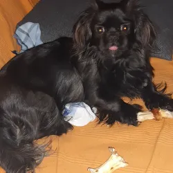 Daruvar Cultural Center - Daruvar