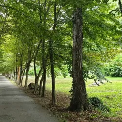 Daruvar Spa (Daruvarske Toplice) - Daruvar